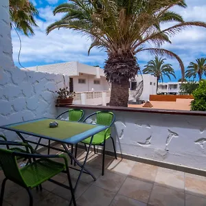 The Great Palm Apartamento